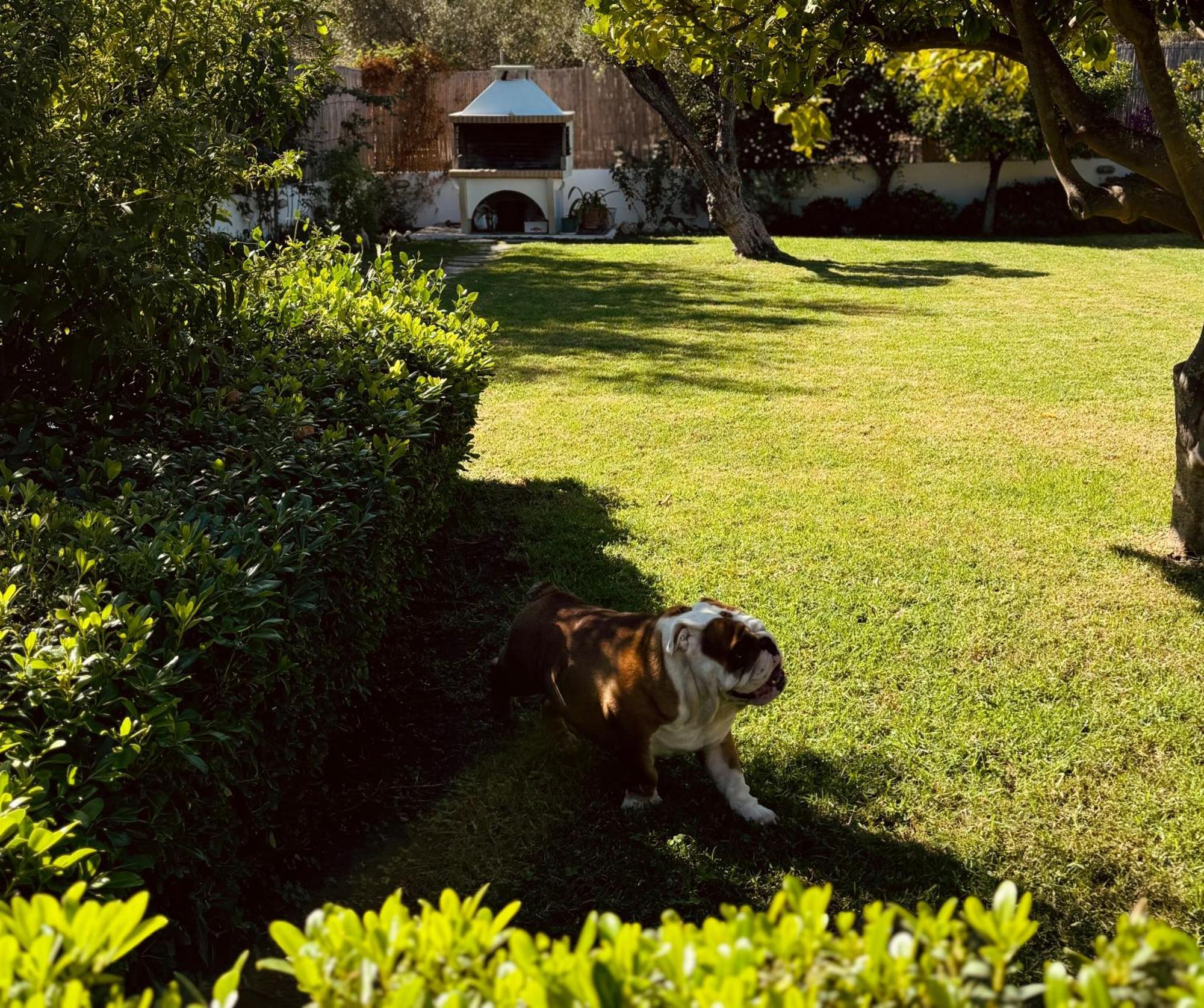 Archangelos Garden House Exteriér fotografie